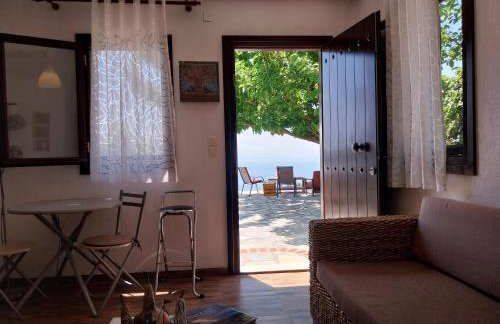 Panorama Studio Afetes - Photo 28