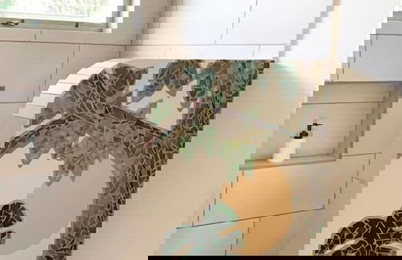 Morning Glory - Foto 60