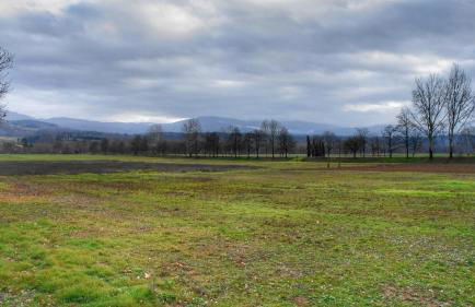 Agriturismo Casa Agricola Rossi Appartamenti in Casentino - Foto 77