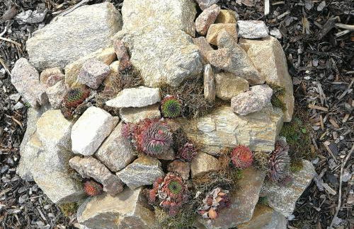 Ferien in der alten Scheune - Foto 35