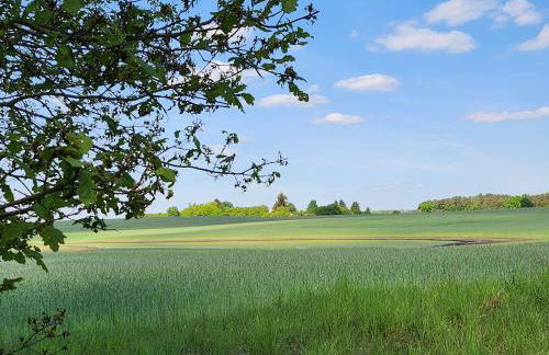 Ferienhaus Naturpur Chorin - Foto 53