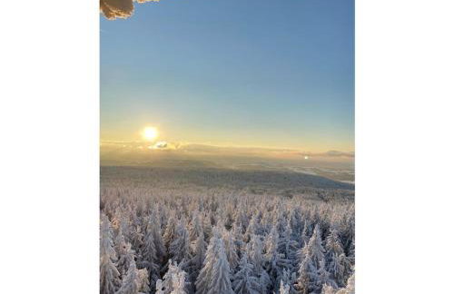 Waldi Fichteltraum - Foto 22