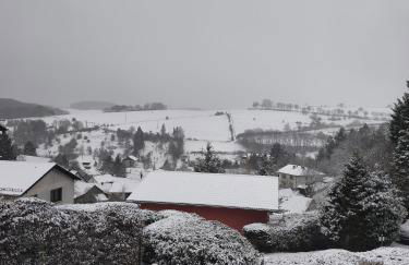 Große Auszeit Eifel mit Sauna, Kamin und Terrasse - Foto 34
