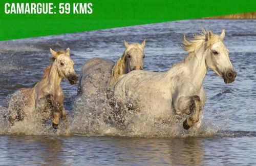 Maison des garçons - Foto 10