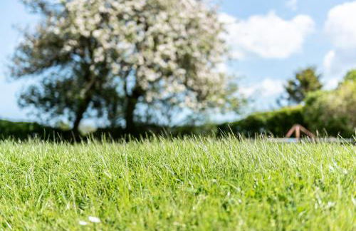 Strandperle Appartements - Foto 8