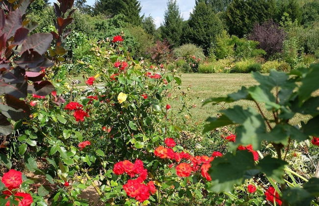 Cabane dans les Arbres - Tree House - Foto 32