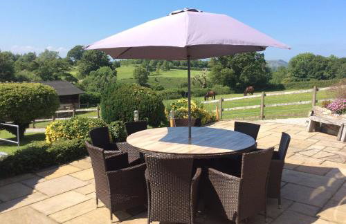 Ty Bach, 1 bedroom home with hot tub and views - Photo 6