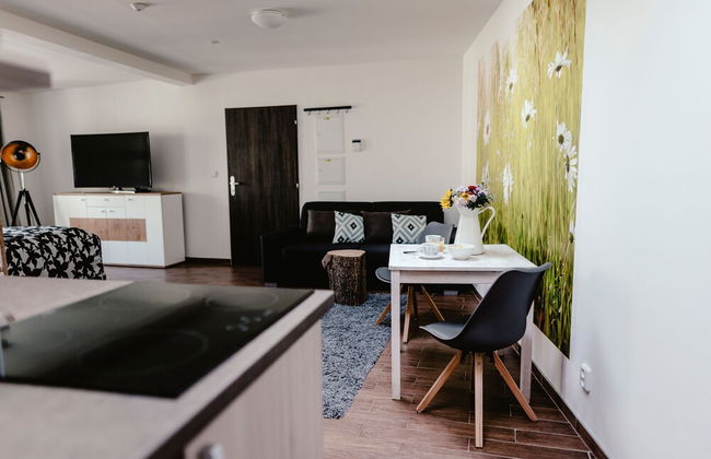 Apartments Zelny Trh III - Foto 22