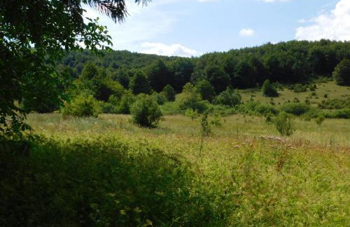 Vacation House Home, Plitvice Lakes National Park - Foto 43