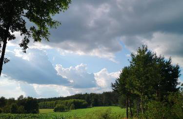 Domek pod lasem podlaskie - Foto 36