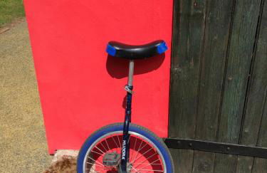 Ferienhaus Biene - Photo 26