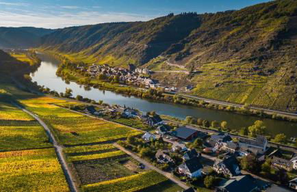 Ferienweingut Gansen Hochgenuss 2 - Foto 16