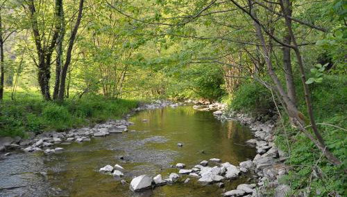 Rothaarsteig Ferienhaus - Photo 4