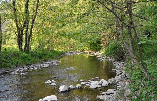 Rothaarsteig Ferienhaus - Photo 4