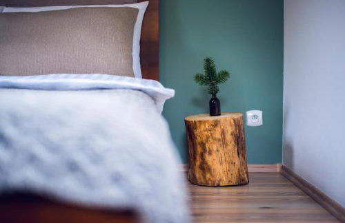 Apartament Śnieżny Międzygórze - Foto 4