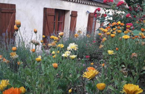 L'orée du bois - Foto 1