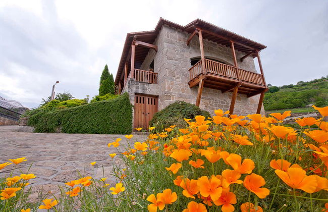 Tour in Chantada - Foto 3