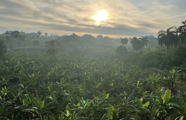 Complejo Ecoturistico Rancho Cielo - Foto 16