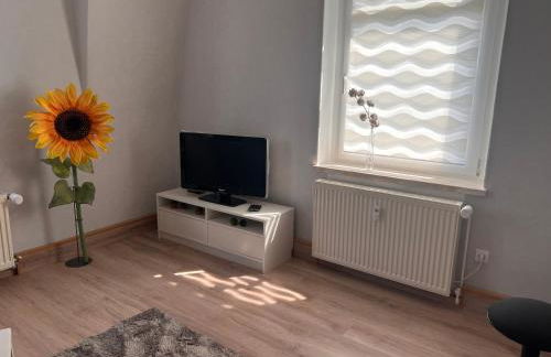 FEWO An der Linde Mülsen - Foto 5