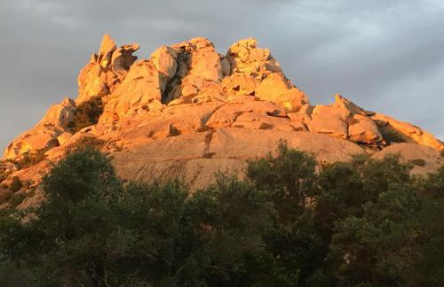 Agriturismo Monti di Jogliu - Foto 71