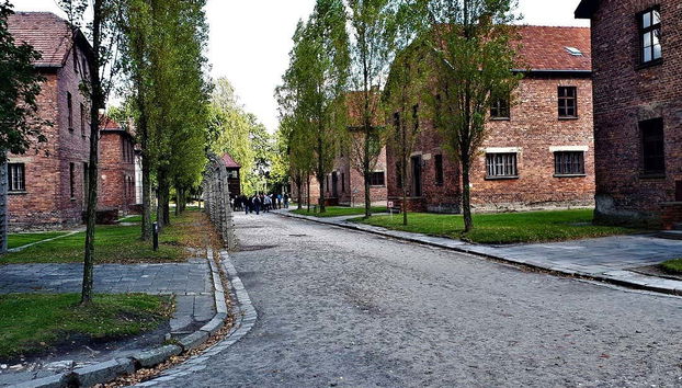 Auschwitz-Birkenau Private Day Trip - Foto 2