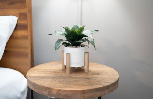 Walnut Street Retreat with Hot Tub, 3 Bedrooms - Foto 18