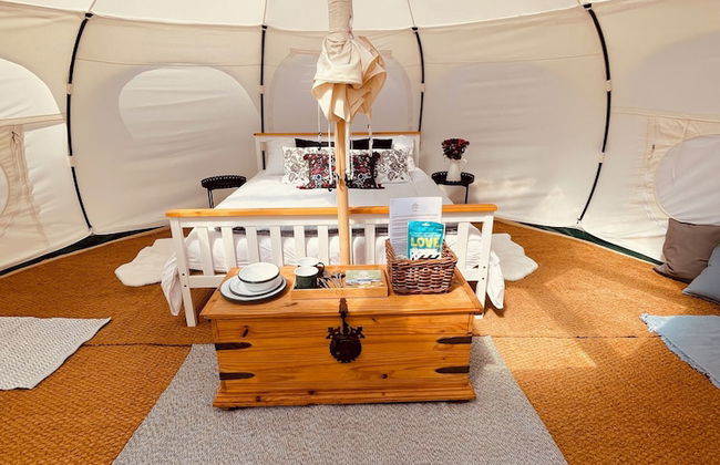 Nest and Nurture - Photo 27