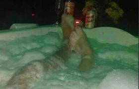 Minha casa sua casa - Photo 43