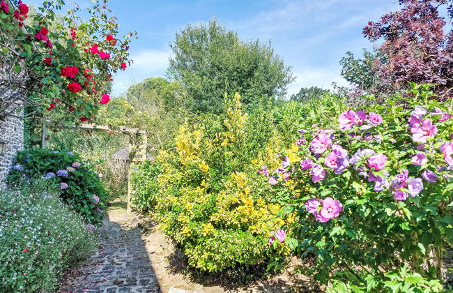 Les Agapanthes - Foto 39