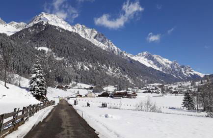 Unterreinischhof - Foto 9