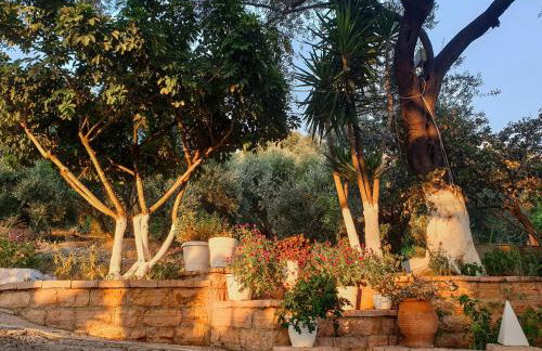 Angelos Studios - Photo 7