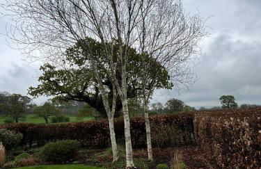 Oaken Fields, Waddington, Clitheroe - Foto 30