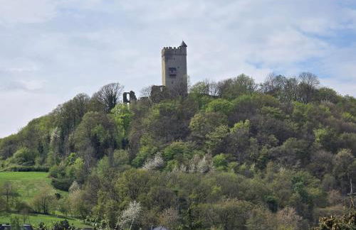 Fewo am Wingertsberg Glees Laacher See - Foto 34