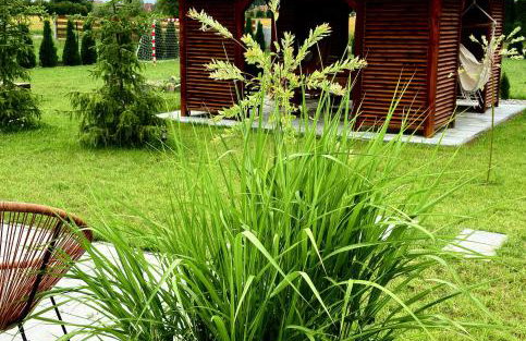 Laski Lake Mazury - domek z balią blisko jeziora - Foto 21