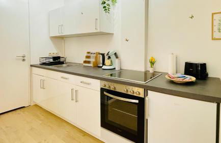 FeWoZauber - Dom Oase, Zentrum, Terrasse, Business, Familie, Haustiere - Foto 5