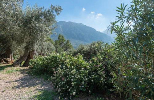 Casita de Montaña cerca del mar - Foto 46