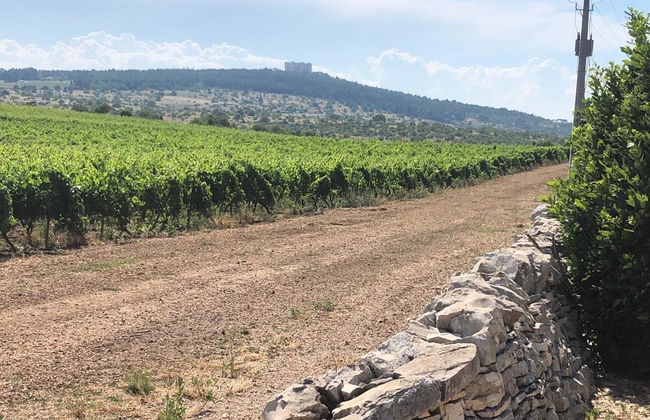 Ai Pilieri di Bagnoli - Foto 46