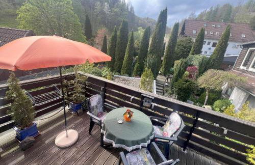 Gemuetliches-kleines-Ferienhaeuschen-Nr-3-im-Harz-fuer-max-3-Personen-inkl-Balkon - Foto 8