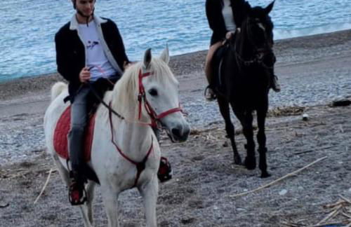 SEAL of Knight - Castle View - Downtown near the Beach - Photo 10