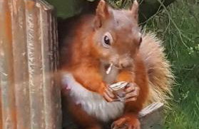 Station Cottage Hawes - Foto 30