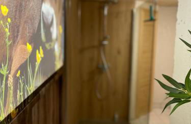 Haus Am Mühlbach - SommerBergBahn unlimited kostenlos - Foto 28