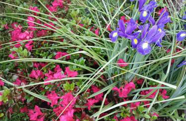 Casa Raposeira - Foto 38