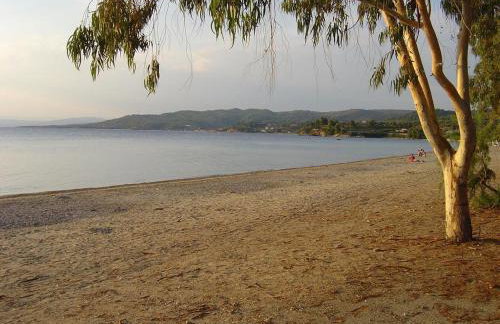 STAR PARADISE Studios - Foto 10