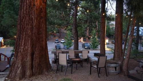 Bear Cave- Pet Friendly Suite in Shaver Lake - Foto 5