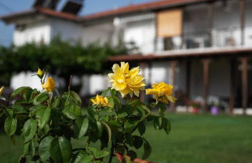 Marilena Apartments Anastasiou - Foto 16