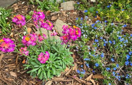 Ferienwohnung Olivenblick Bad Honnef - Foto 43