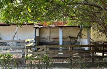 Bangalô 5 Dorms - Victory Lucena - Photo 28