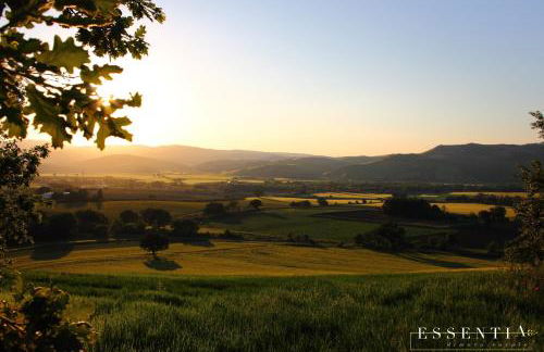 Agriturismo Essentia dimora rurale - Foto 137