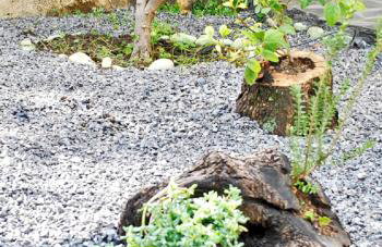 Chouzourakis Studios - Foto 26