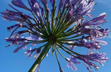 Villalino Tre Palme, Pool, 2 Schlafzimmer, 2 Bäder, Pool, Terrasse, Outdoor Fitness - Foto 29